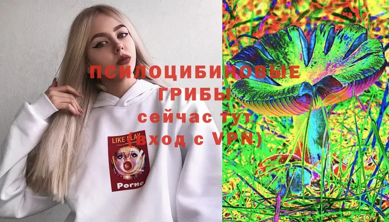 Псилоцибиновые грибы Cubensis  ссылка на мегу сайт  Жирновск 